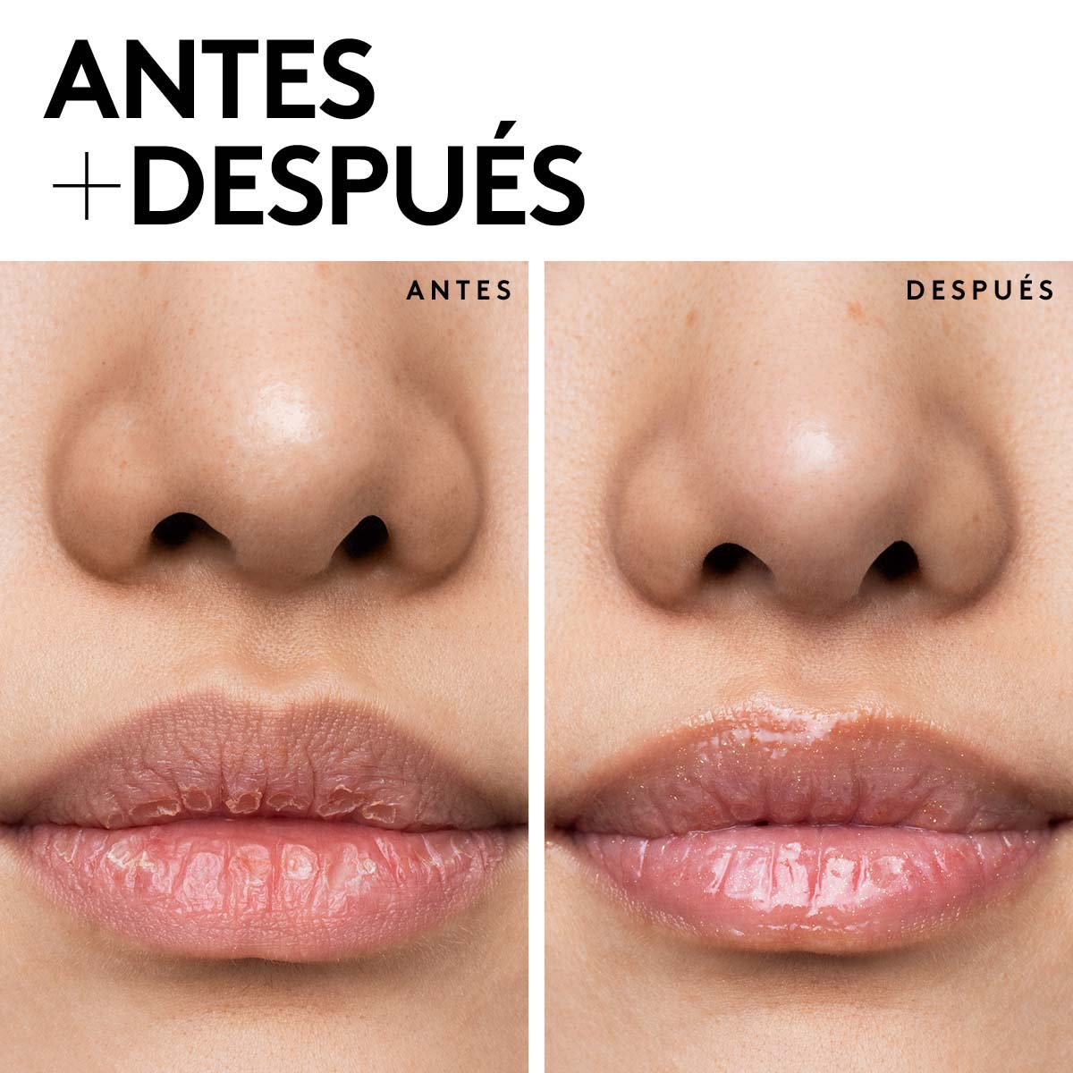 PLUSH PUDDIN' (MASCARILLA INTENSIVA PARA LABIOS CON ESTEROLES DE GRANADA Y VITAMINA E)